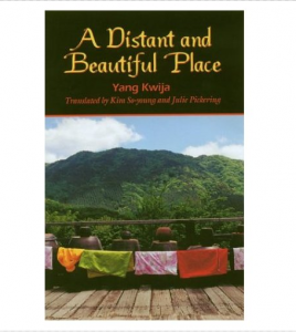 A Distant and Beautiful Place - bookcover